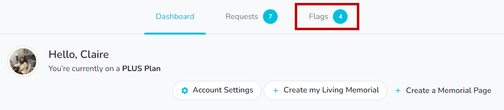 Flags tab highlighted on the Dashboard