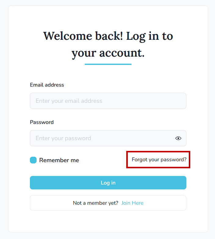 Forgot your password link on the login form