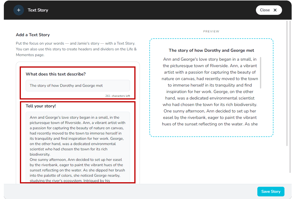 Title and text story fields