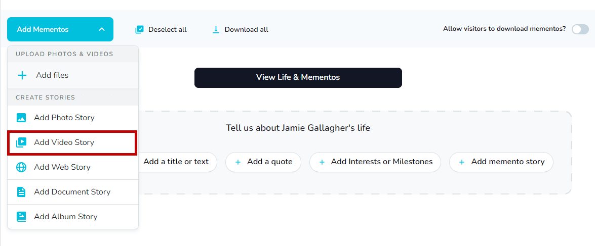 Selecting the Video Story template