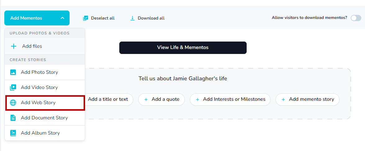 Selecting the Web Story template