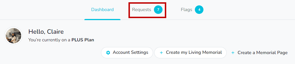 Requests tab highlighted on the Dashboard
